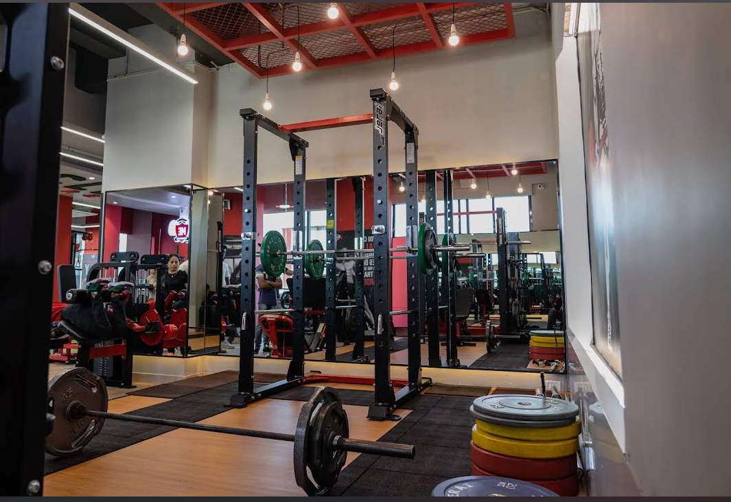 Power rack with Olympic barbell and color-coded bumper plates